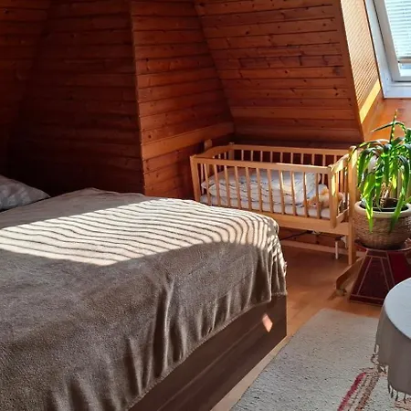 Quiet Attic With Large Garden Near Vienna