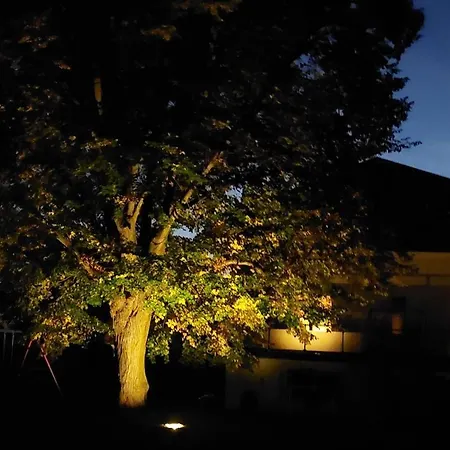 Quiet Attic With Large Garden Near Vienna Apartmán Purkersdorf