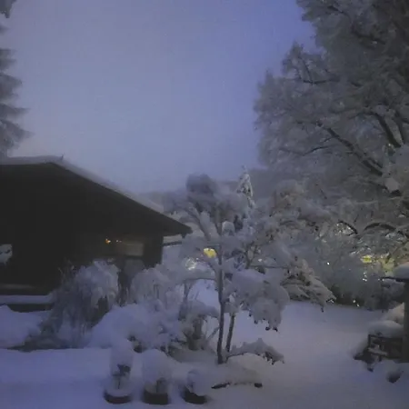 Quiet Attic With Large Garden Near Vienna *